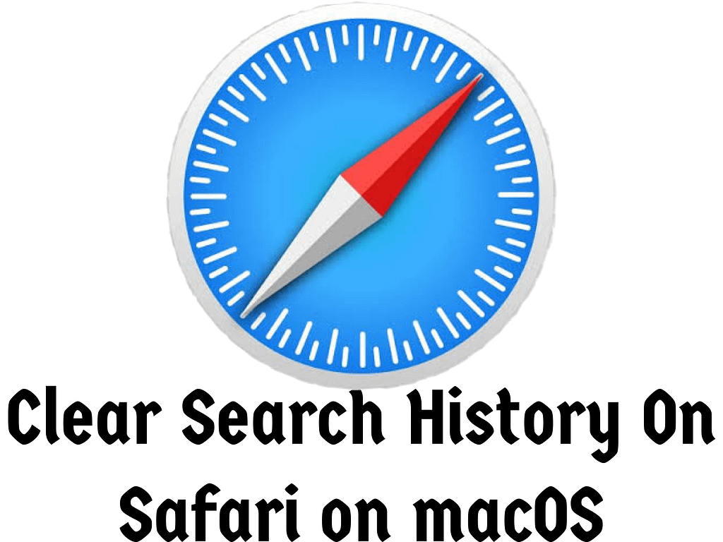 How to clear search history on safari on macOS Big Sur
