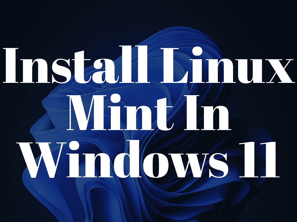 How to install Linux mint in windows 11